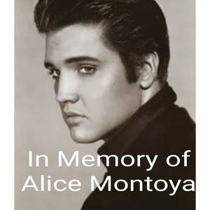 Meet your Posher, Lonia